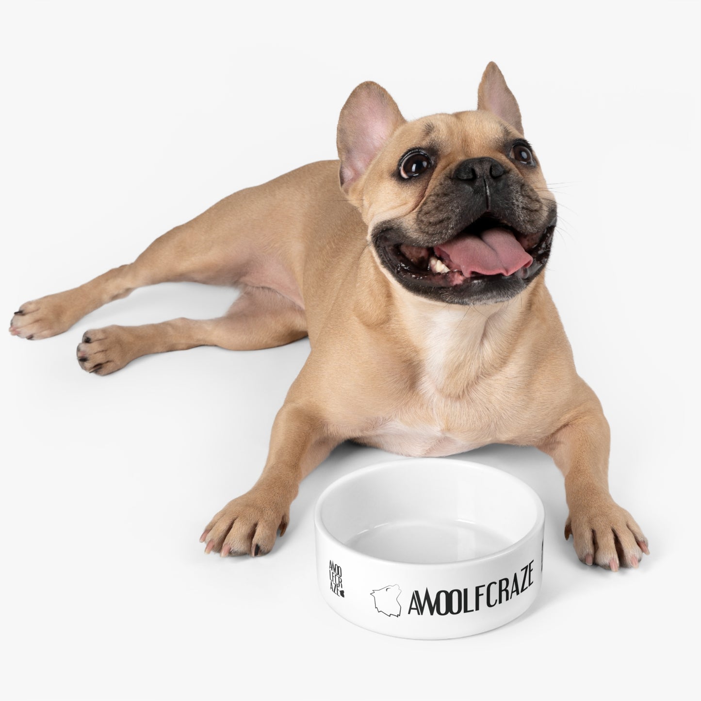 Ceramic Pet Bowl
